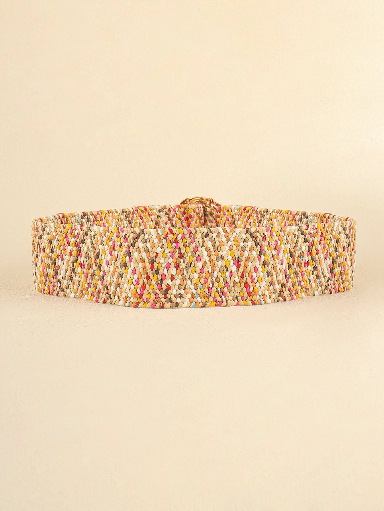 Multicolored Wide Belt - Flip Flop Dynasty